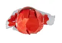 Screenshot_1156.webp